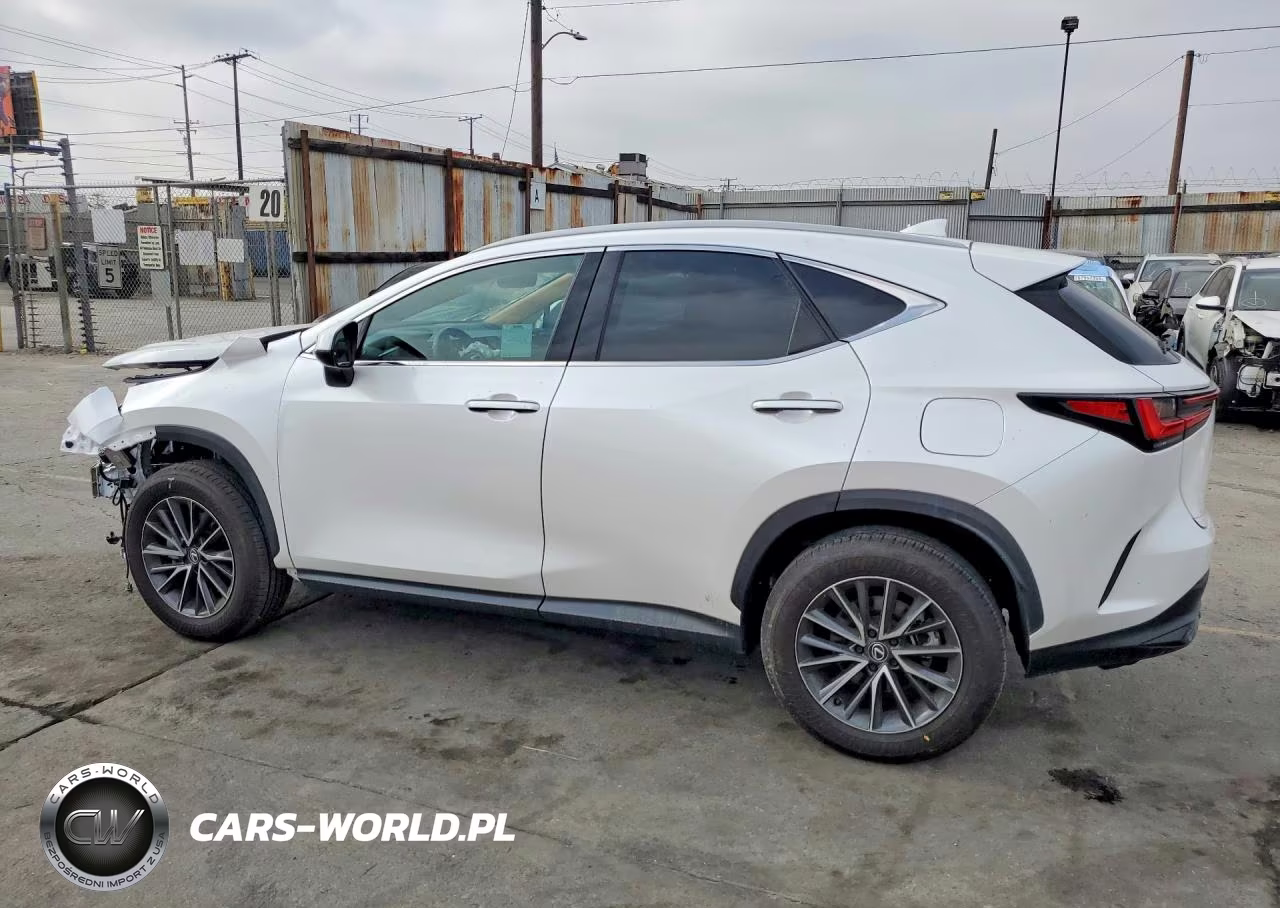 2025 Lexus Nx 250 Base VIN:2T2ADCAZ2SC030015 - 2