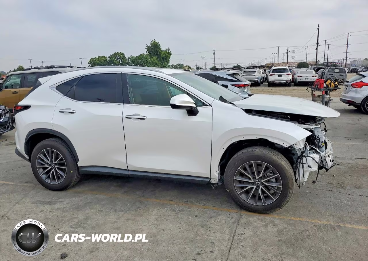 2025 Lexus Nx 250 Base VIN:2T2ADCAZ2SC030015 - 4