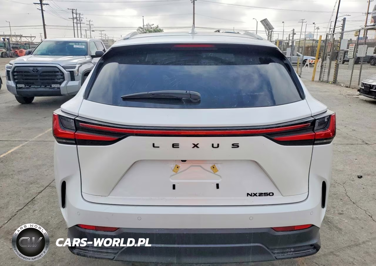 2025 Lexus Nx 250 Base VIN:2T2ADCAZ2SC030015 - 6