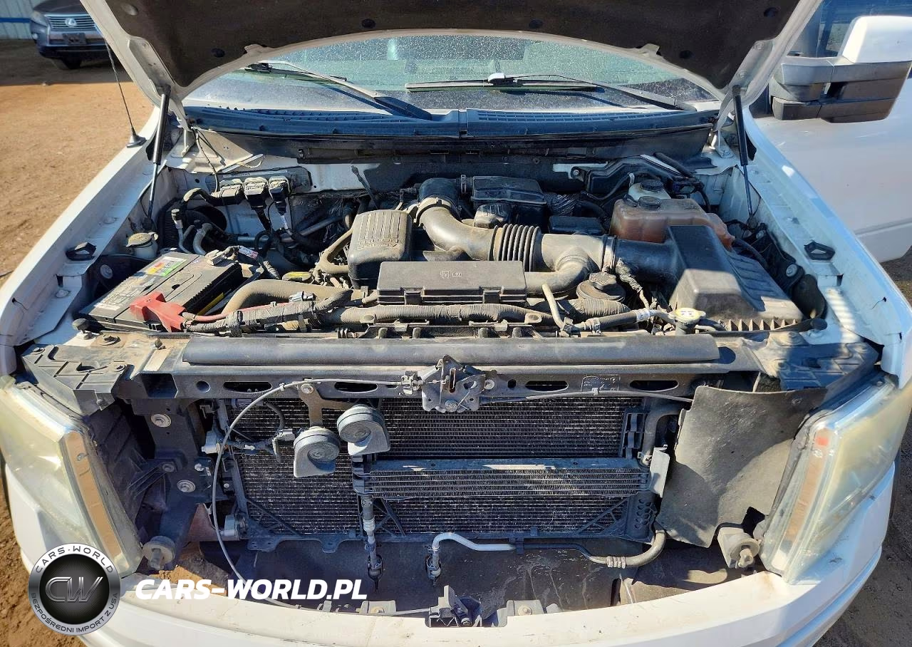 2010 Ford F150 Supercrew VIN:1FTFW1EV8AKB47594 - 11