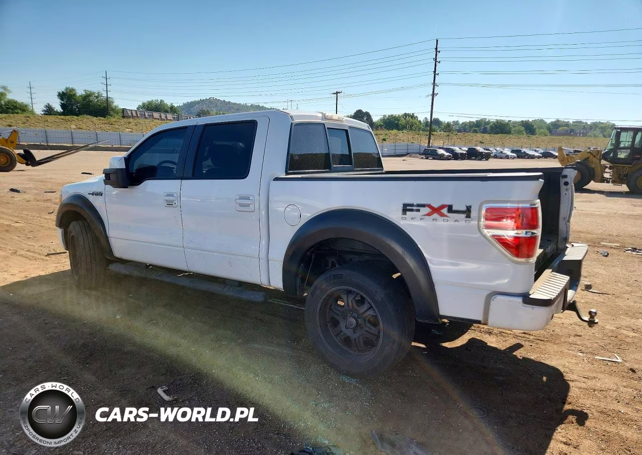 2010 Ford F150 Supercrew VIN:1FTFW1EV8AKB47594 - 2