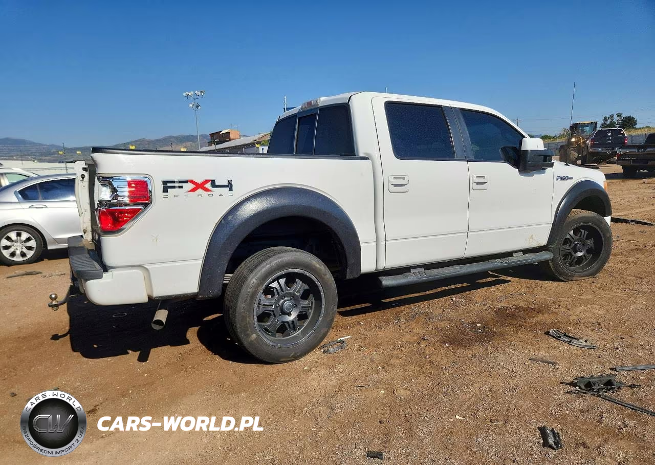 2010 Ford F150 Supercrew VIN:1FTFW1EV8AKB47594 - 3