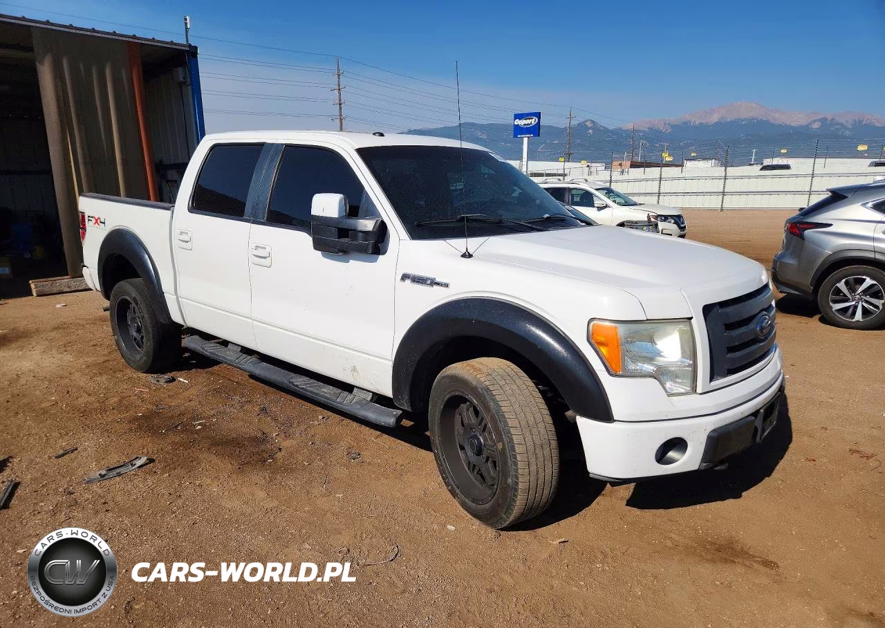 2010 Ford F150 Supercrew VIN:1FTFW1EV8AKB47594 - 4