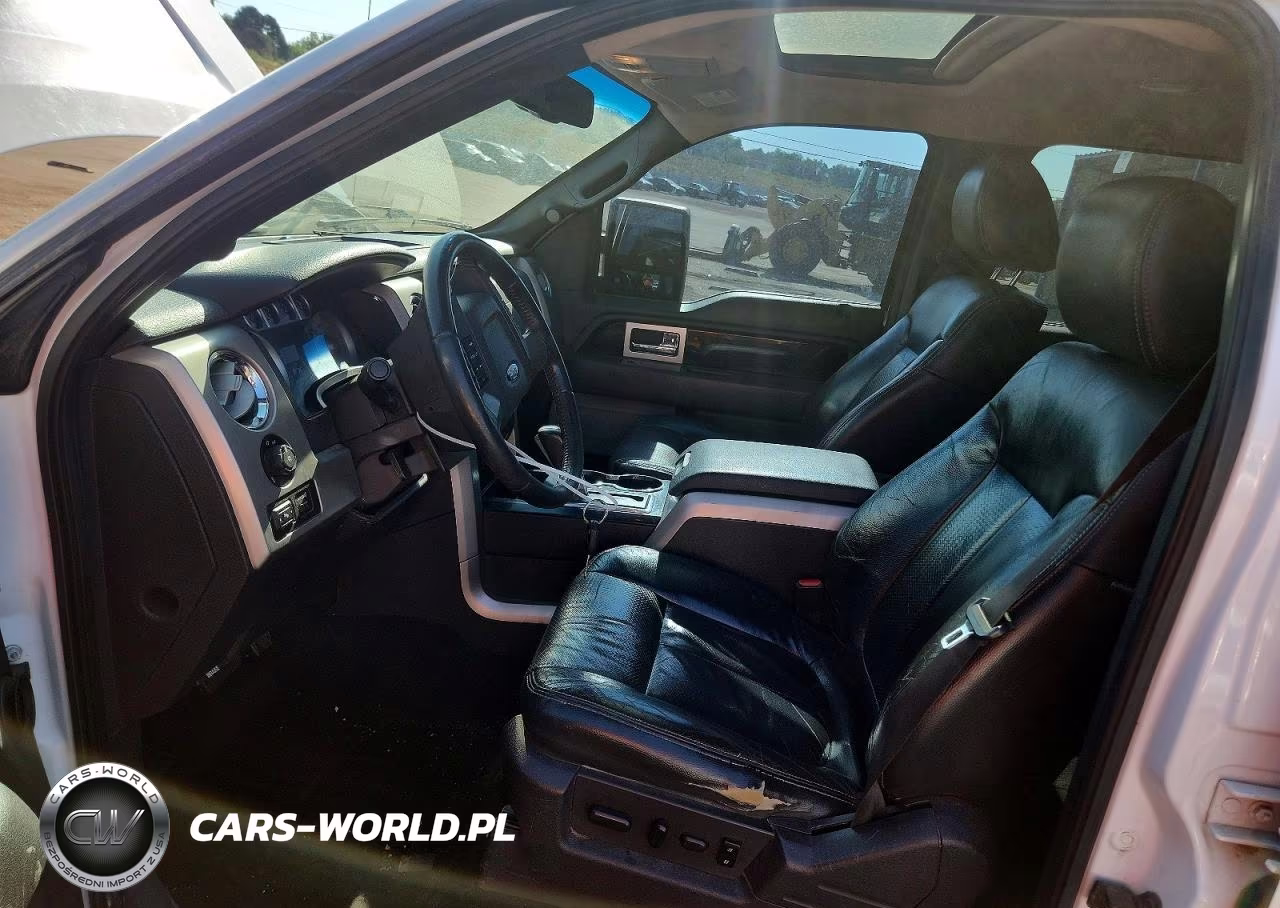 2010 Ford F150 Supercrew VIN:1FTFW1EV8AKB47594 - 7