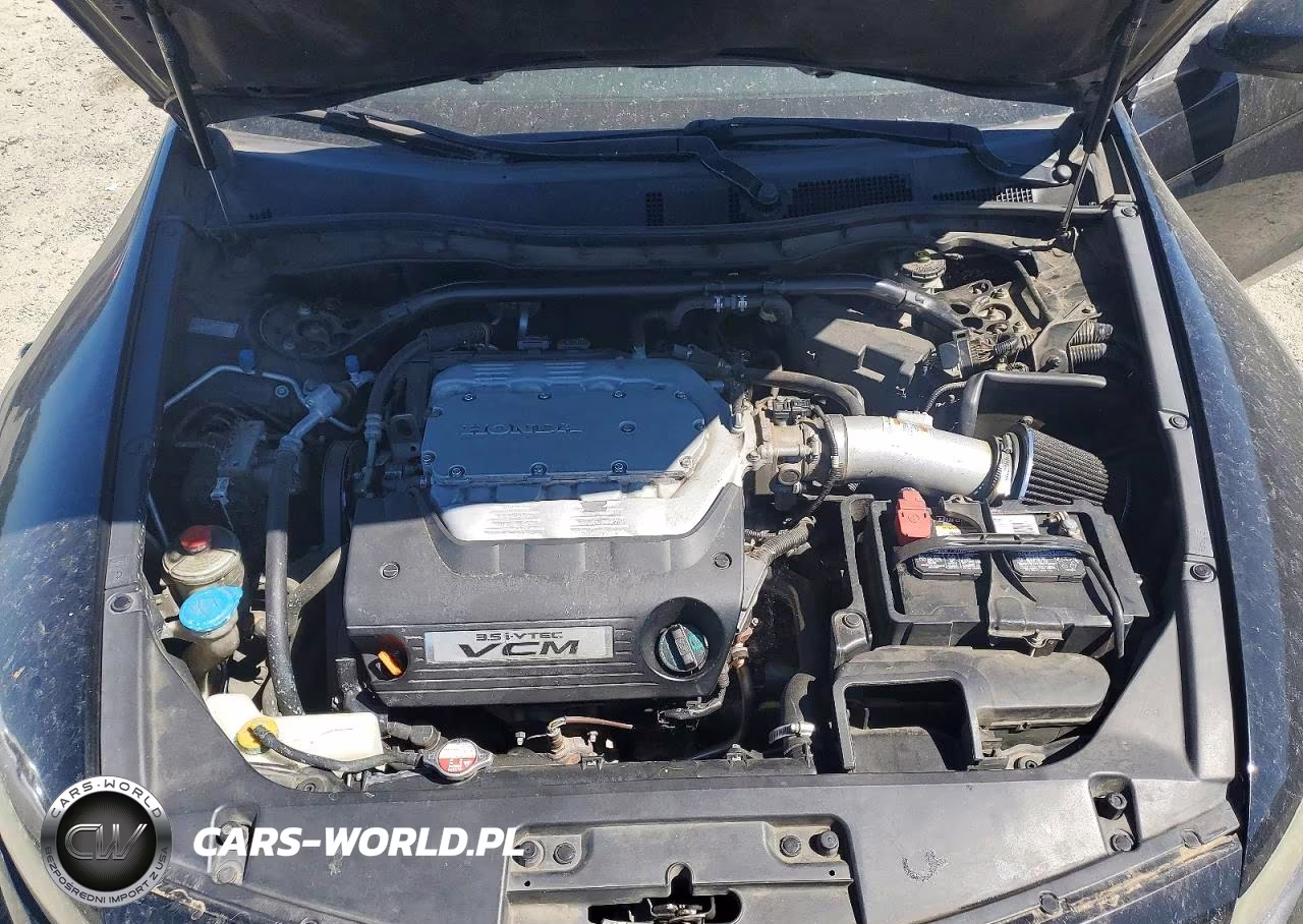 2010 Honda Accord Exl VIN:1HGCS2B88AA009113 - 11