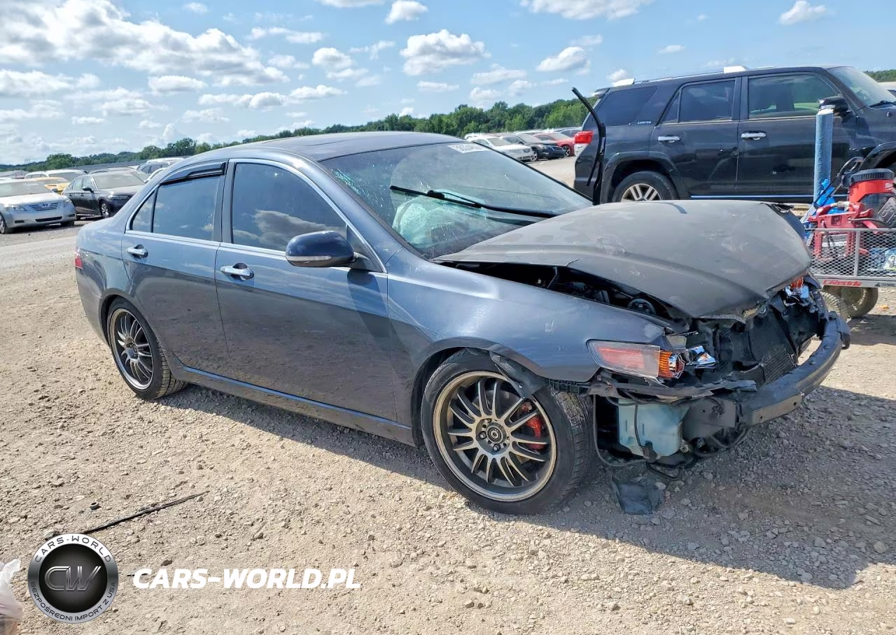 2004 Acura Tsx VIN:JH4CL96924C028237 - 4