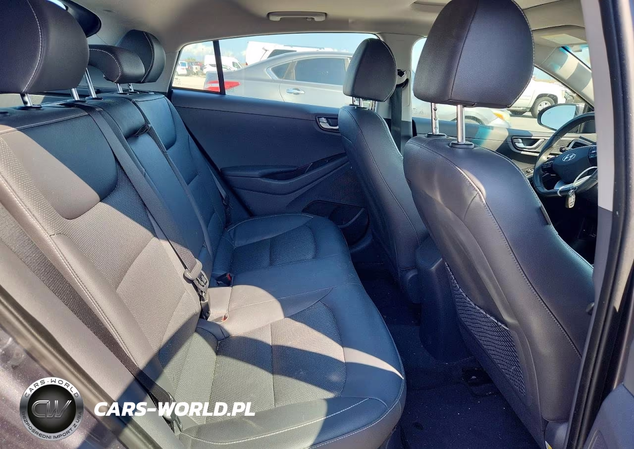 2019 Hyundai Ioniq Limited VIN:KMHC85LC6KU110924 - 10