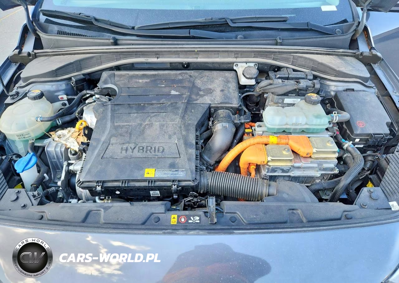 2019 Hyundai Ioniq Limited VIN:KMHC85LC6KU110924 - 11