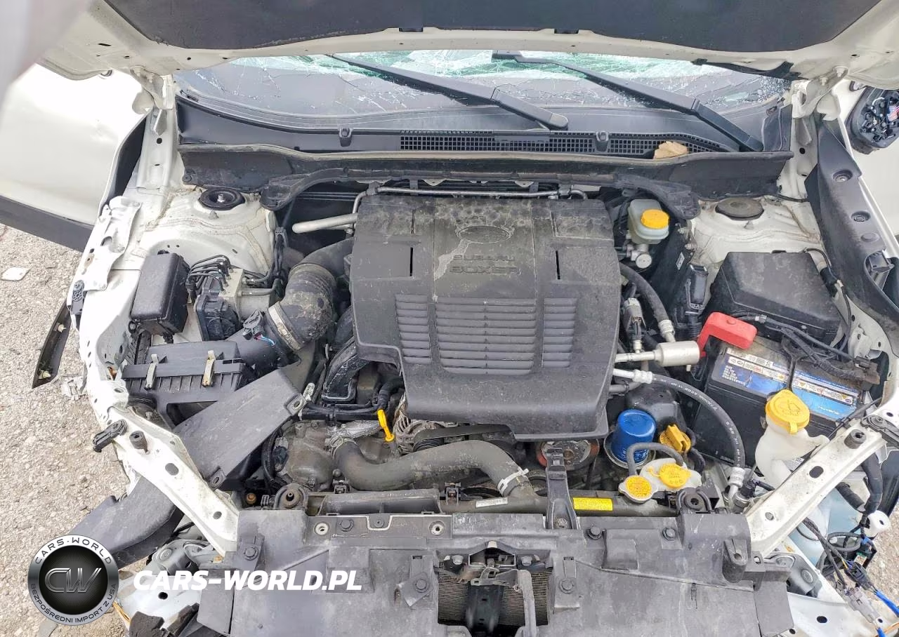 2019 Subaru Forester Premium VIN:JF2SKAGC0KH503428 - 12