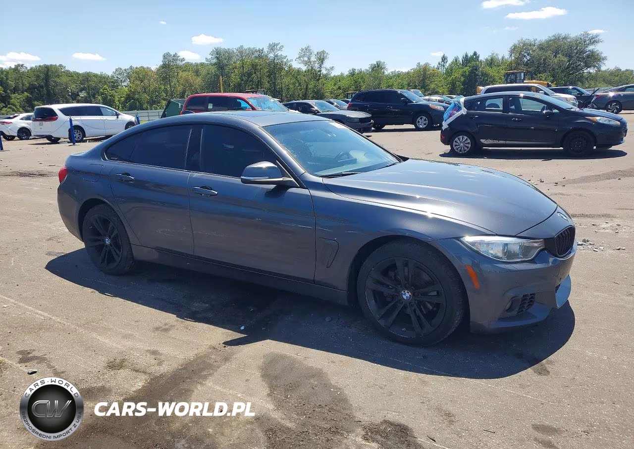 2016 BMW 428 Xi Gran Coupe Sulev VIN:WBA4C9C58GG136167 - 4