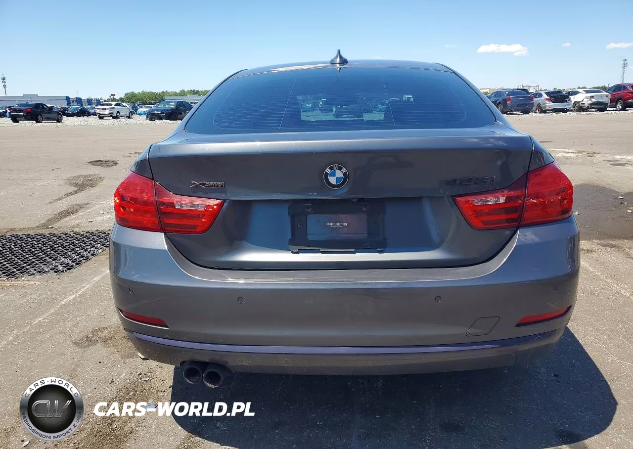 2016 BMW 428 Xi Gran Coupe Sulev VIN:WBA4C9C58GG136167 - 6