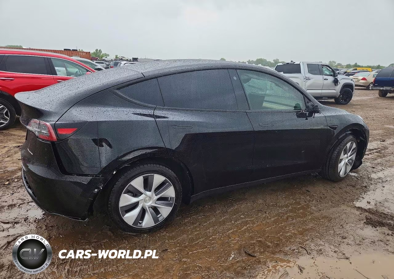 2023 Tesla Model Y VIN:7SAYGDEE1PA054364 - 3