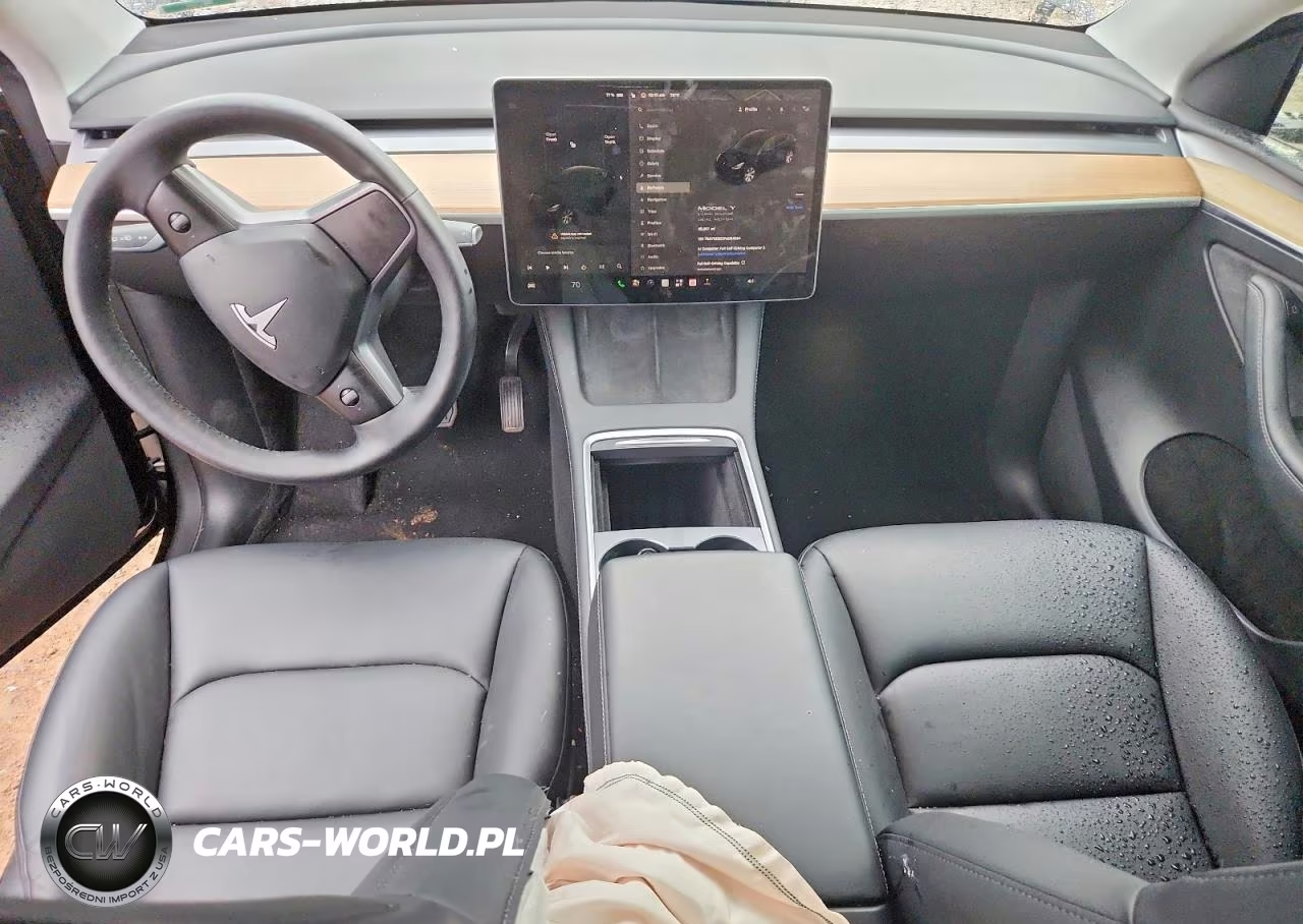 2023 Tesla Model Y VIN:7SAYGDEE1PA054364 - 8