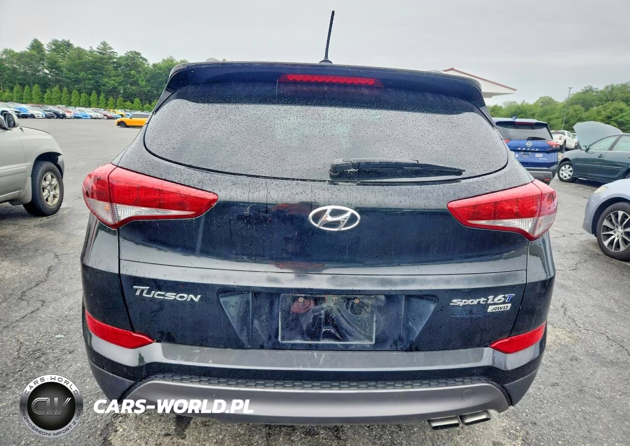 2016 Hyundai Tucson Sport VIN:KM8J3CA28GU221034 - 6