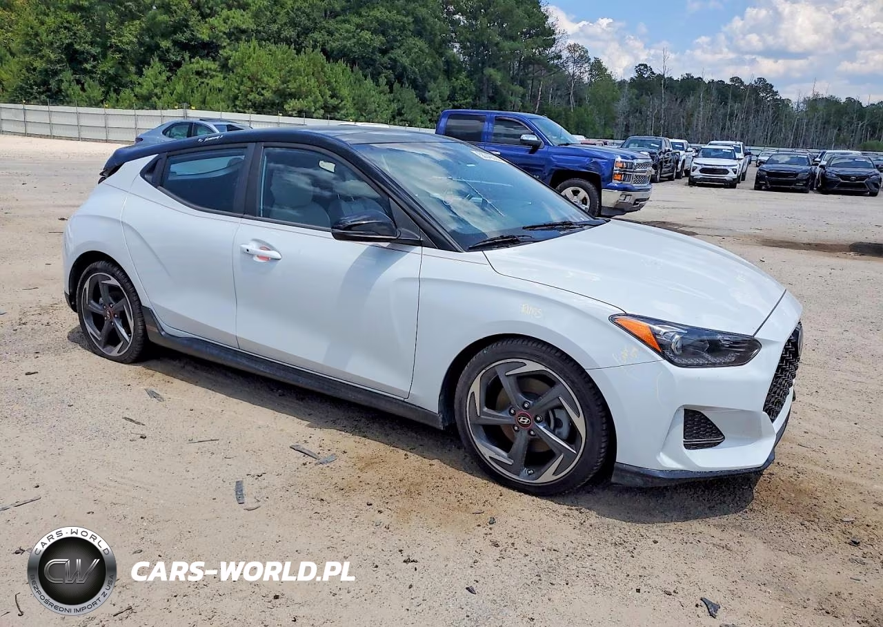 2020 Hyundai Veloster Turbo Ultimate VIN:KMHTH6AB2LU021532 - 4