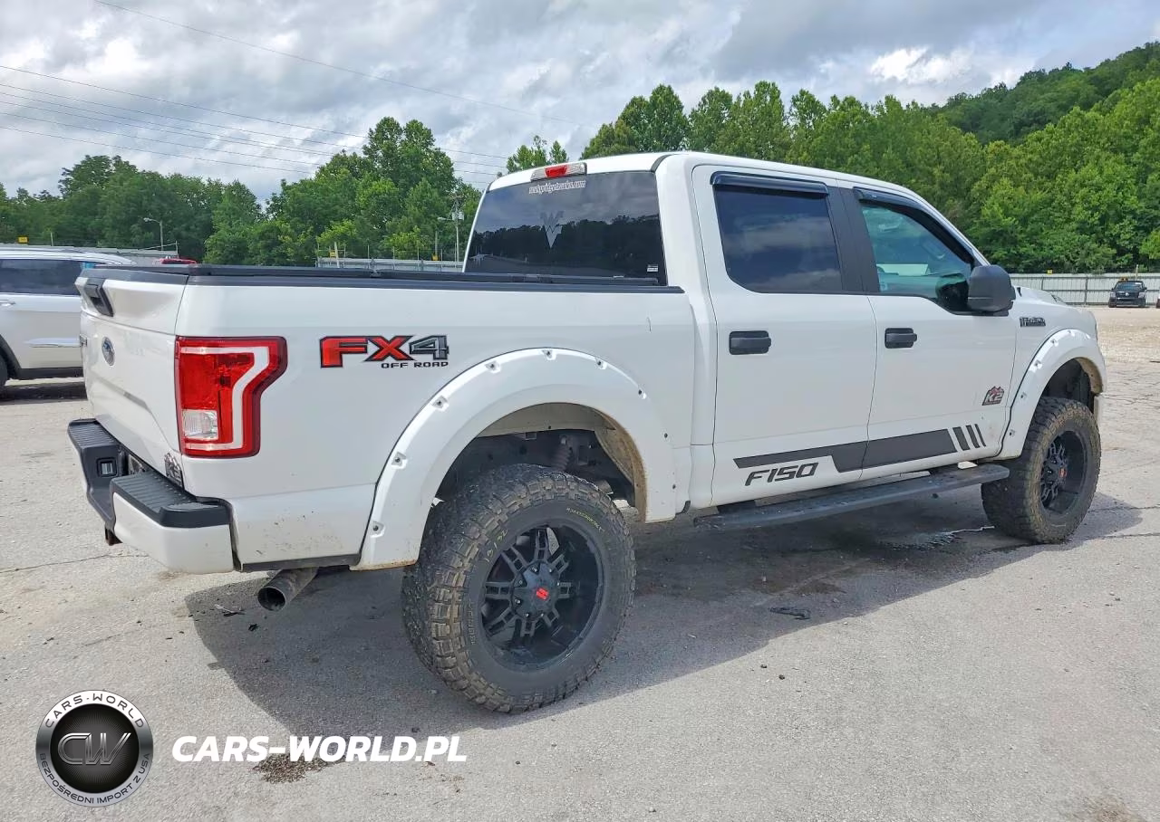 2017 Ford F150 Supercrew VIN:1FTEW1EF5HFA32510 - 3
