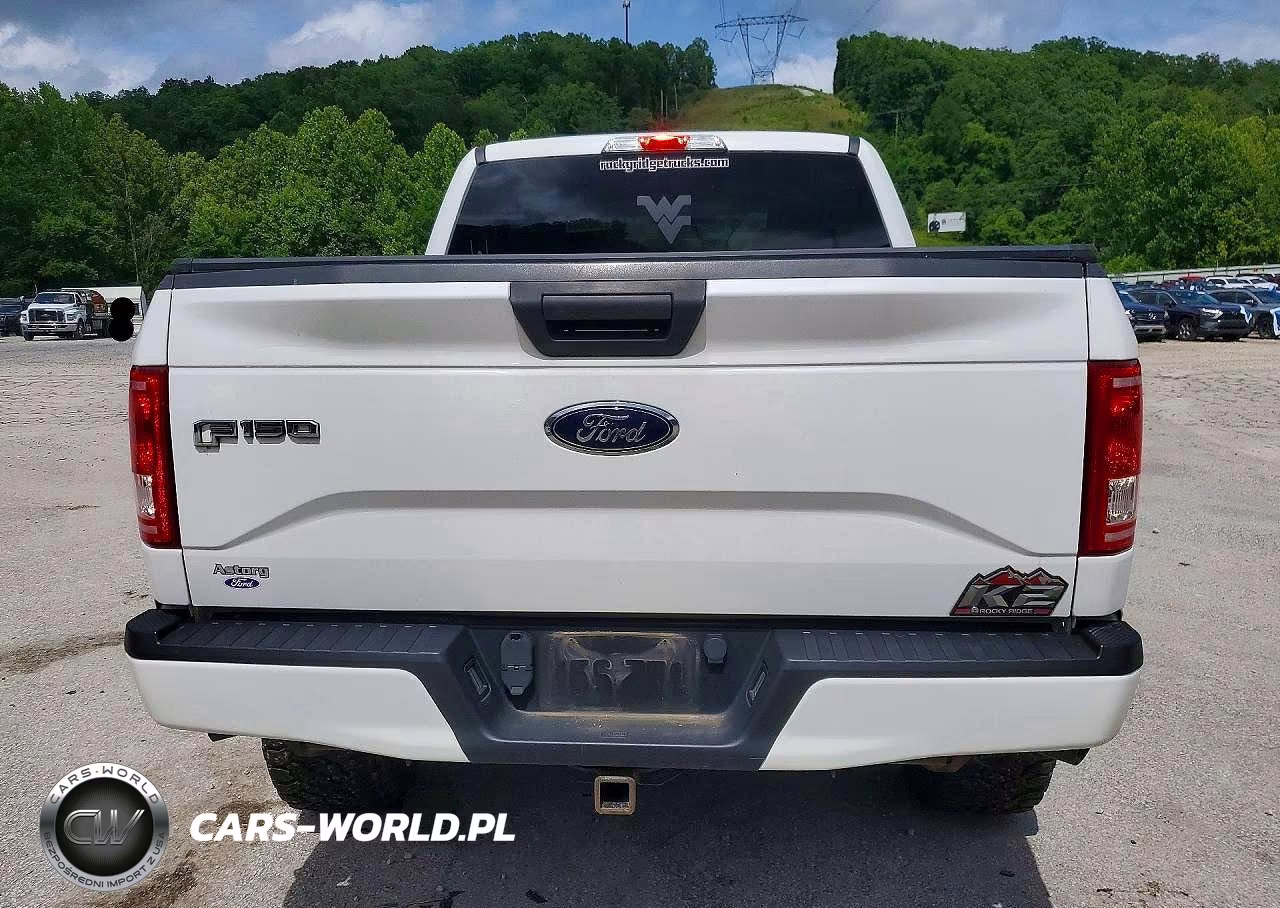2017 Ford F150 Supercrew VIN:1FTEW1EF5HFA32510 - 6
