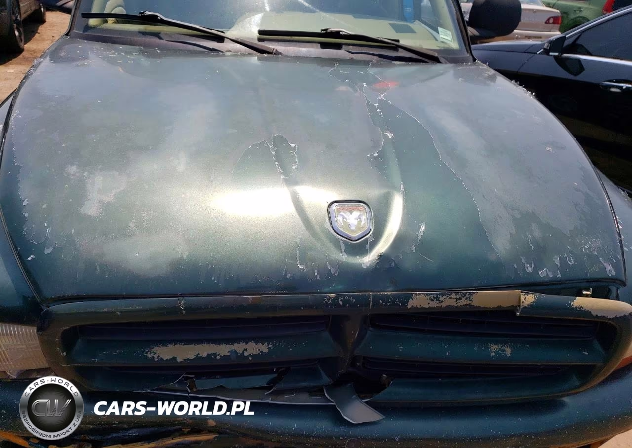 1998 Dodge Durango VIN:1B4HS28Z8WF224096 - 12