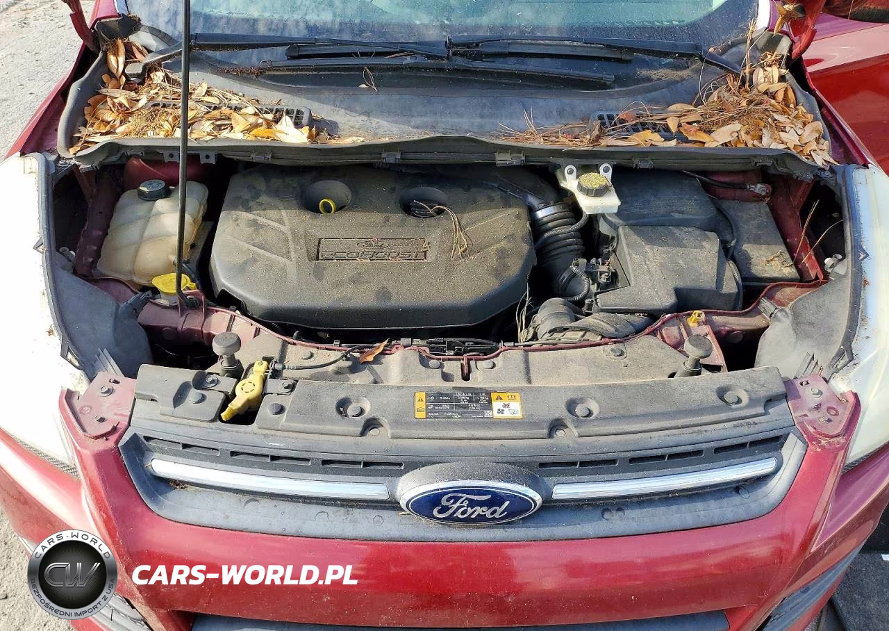 2013 Ford Escape Se VIN:1FMCU0G95DUD48764 - 12