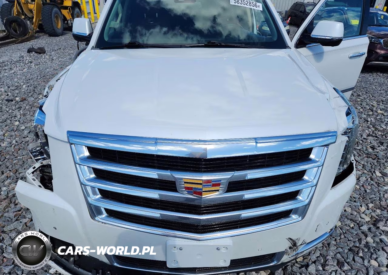 2020 Cadillac Escalade Luxury VIN:1GYS4BKJ7LR143150 - 12