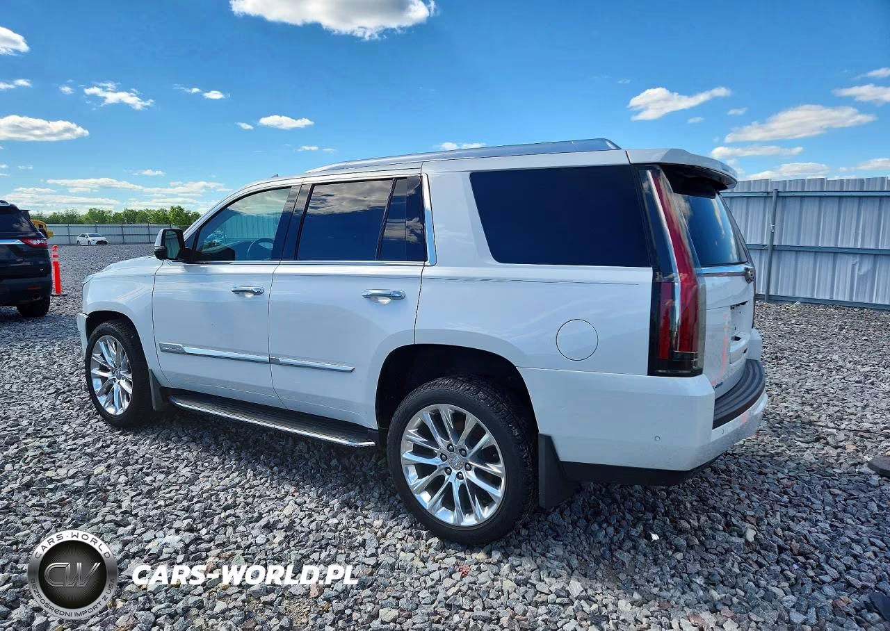 2020 Cadillac Escalade Luxury VIN:1GYS4BKJ7LR143150 - 2