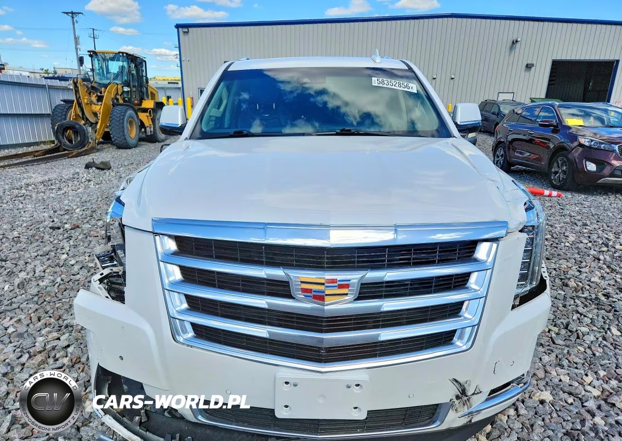 2020 Cadillac Escalade Luxury VIN:1GYS4BKJ7LR143150 - 5