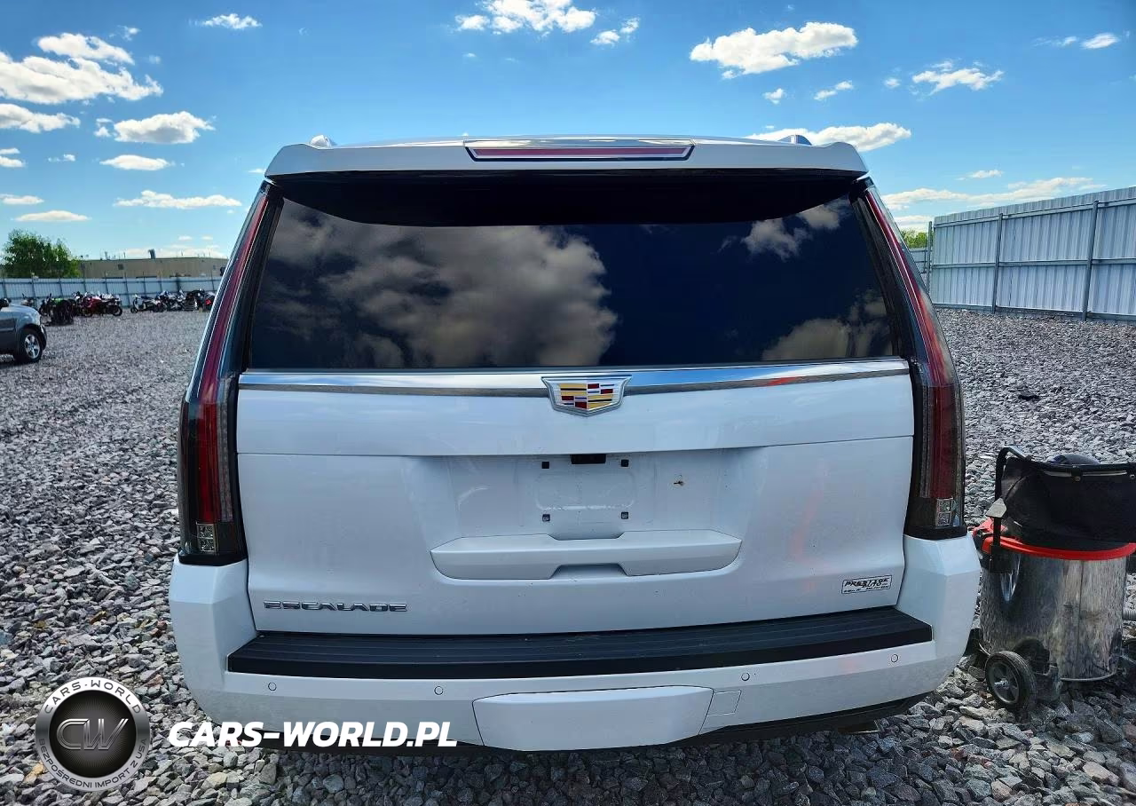2020 Cadillac Escalade Luxury VIN:1GYS4BKJ7LR143150 - 6