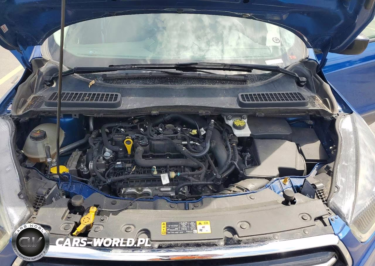 2019 Ford Escape Se VIN:1FMCU9GDXKUC54109 - 12