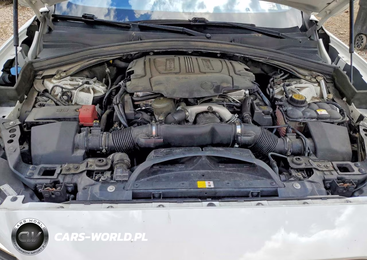 2019 Jaguar F-Pace S VIN:SADCM2FV8KA365978 - 12