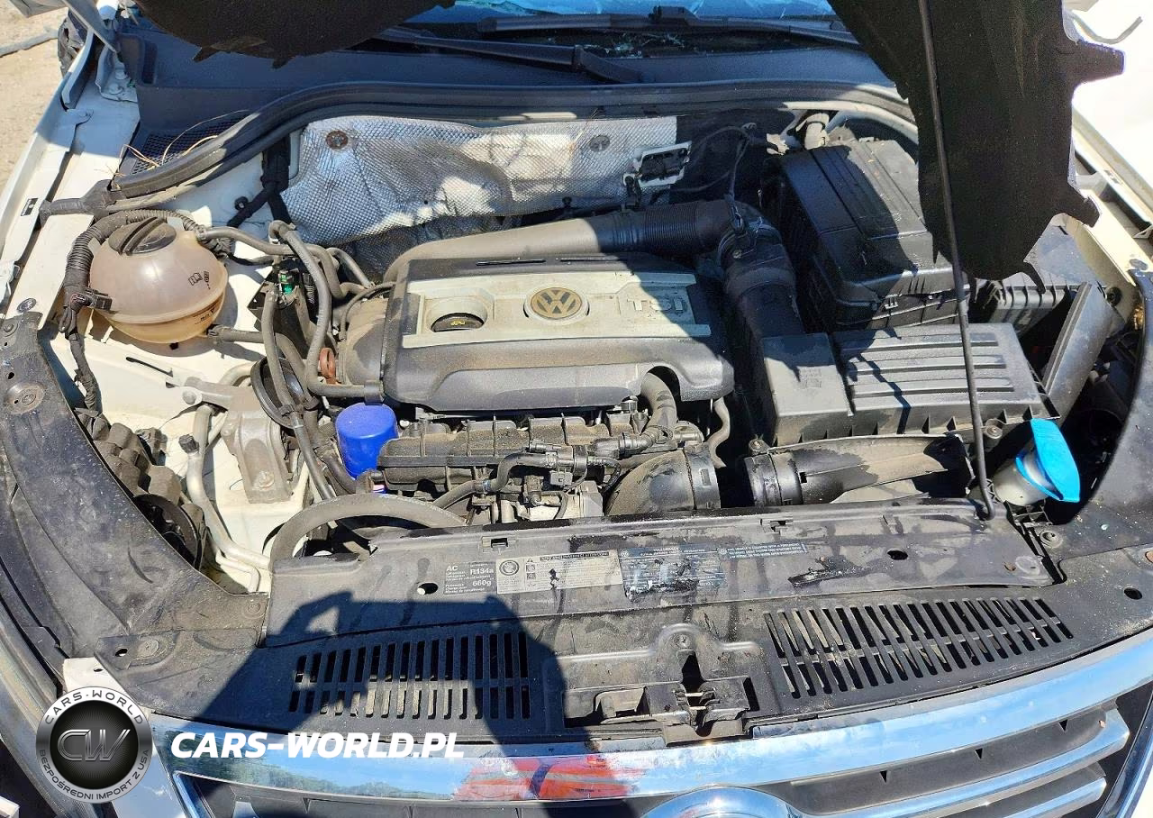 2011 Volkswagen Tiguan S VIN:WVGBV7AX3BW521837 - 12