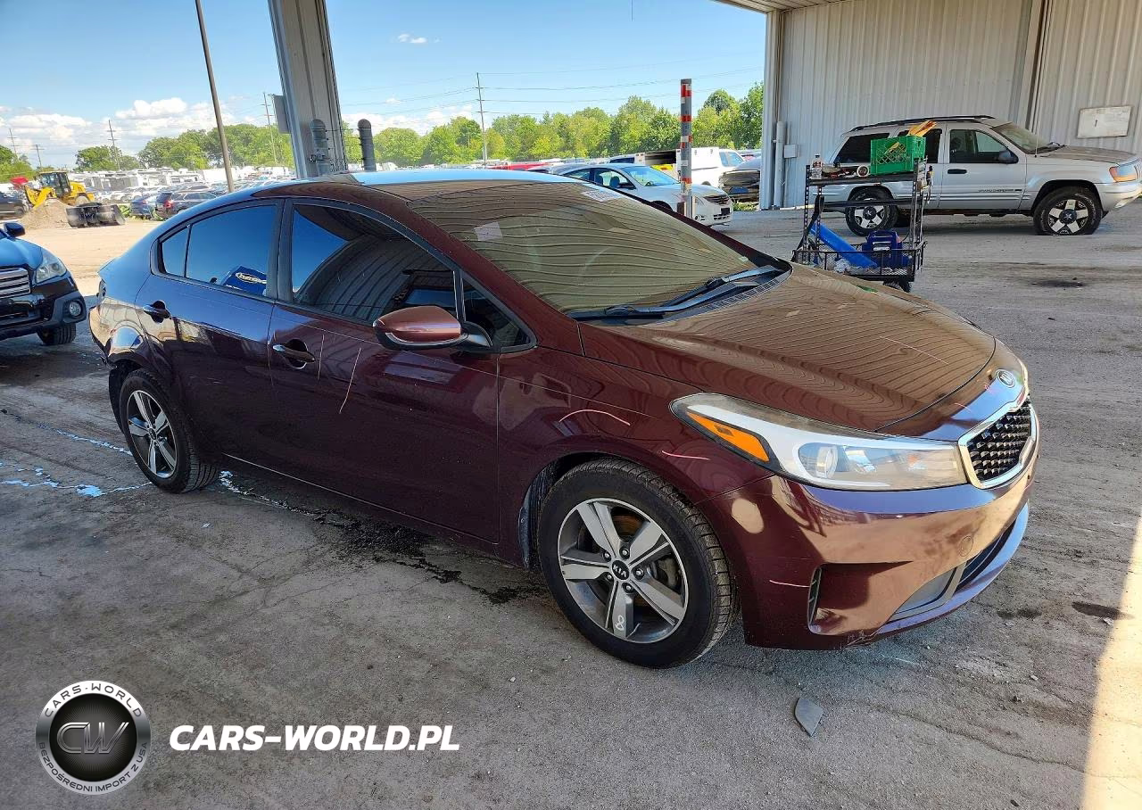2018 Kia Forte Lx VIN:3KPFL4A76JE172028 - 4