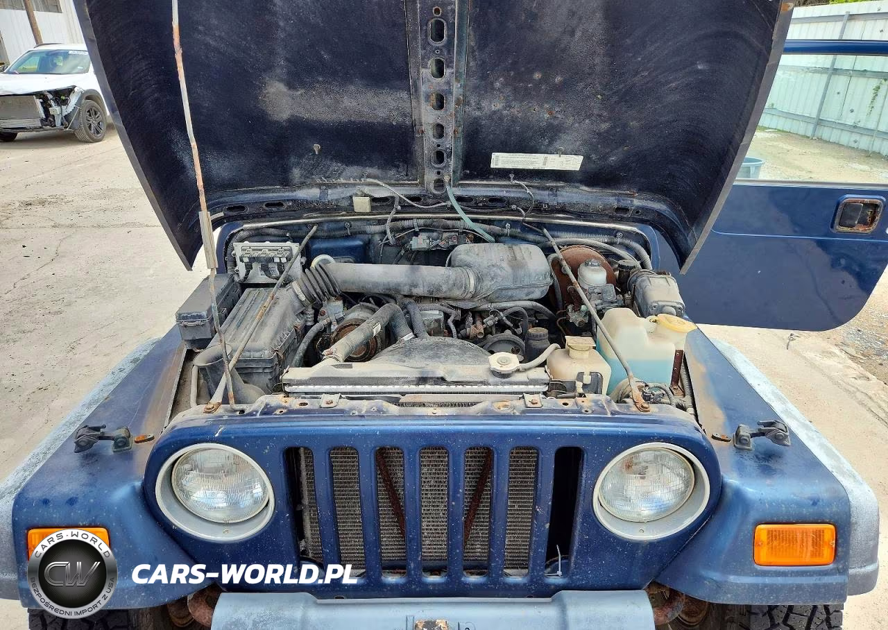 2000 Jeep Wrangler - Tj Se VIN:1J4FA29P2YP771267 - 11