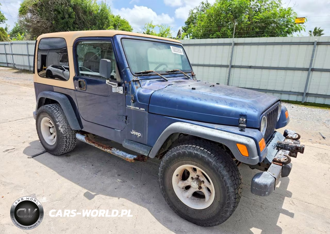 2000 Jeep Wrangler - Tj Se VIN:1J4FA29P2YP771267 - 4