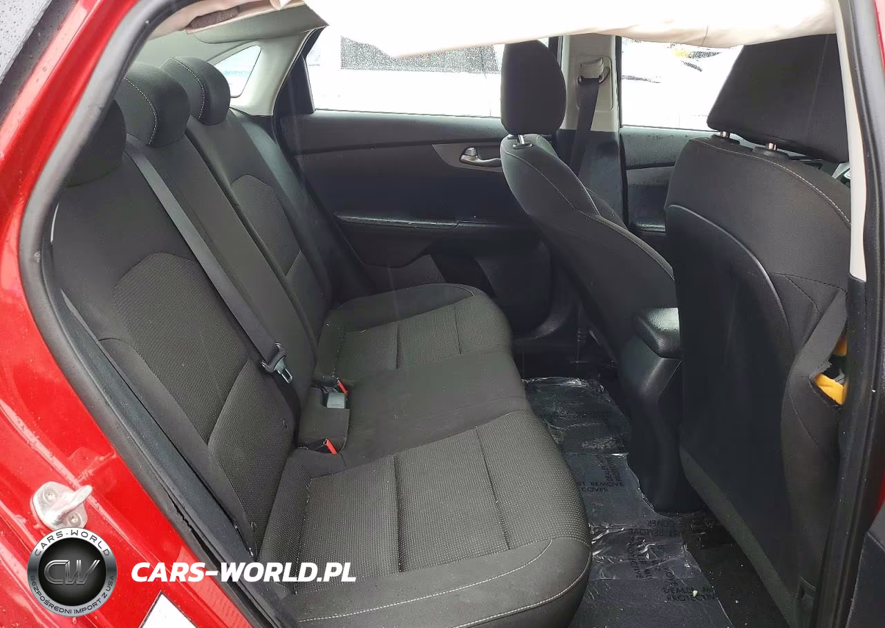 2019 Kia Forte Lxs VIN:3KPF24AD9KE126381 - 10