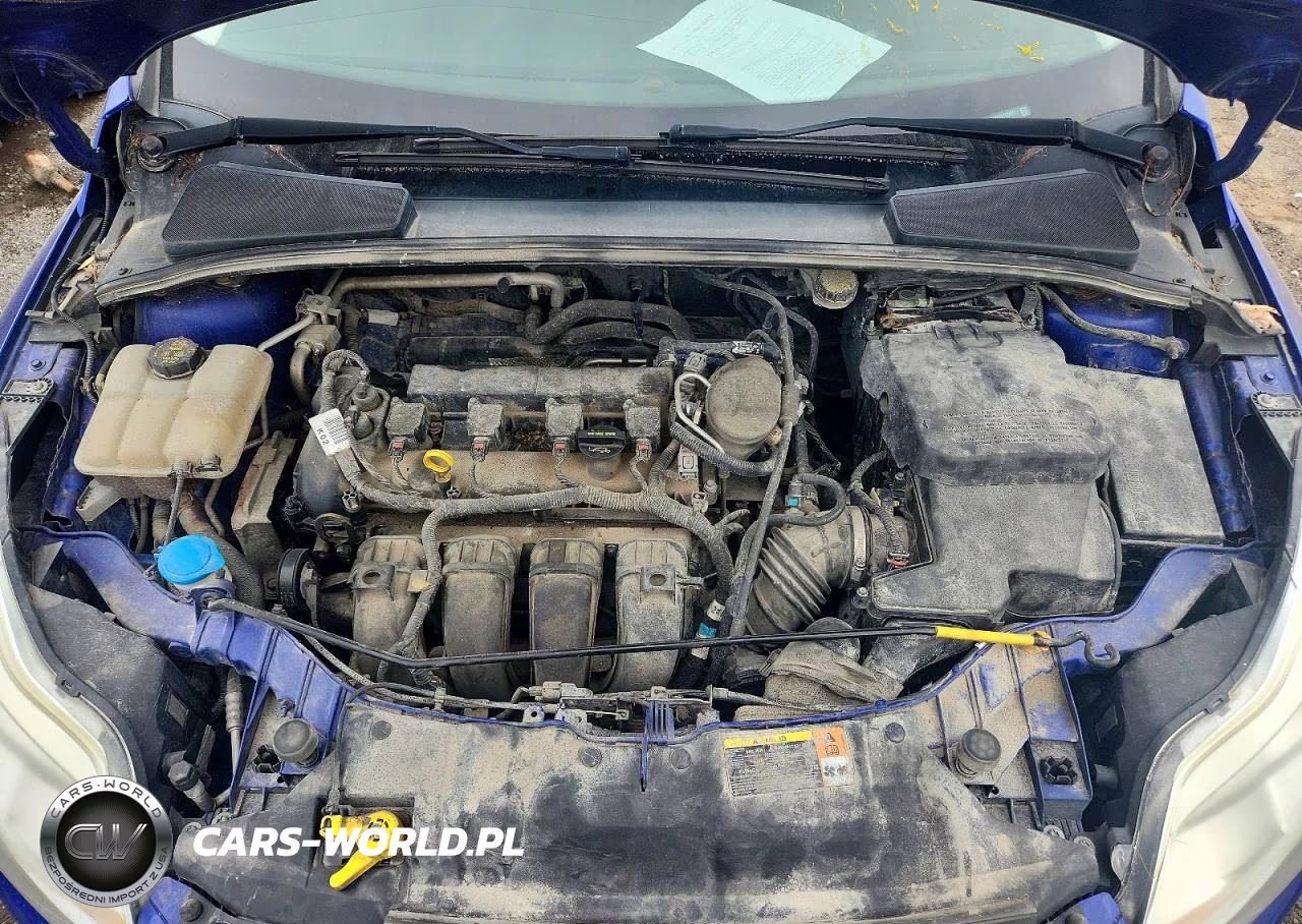 2014 Ford Focus Se VIN:1FADP3K27EL195071 - 11