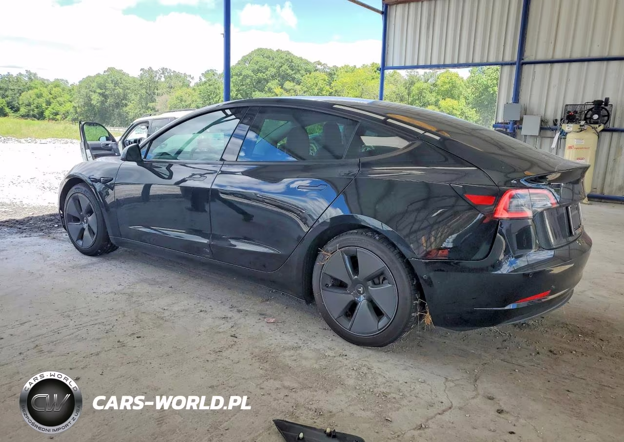 2021 Tesla Model 3 VIN:5YJ3E1EA7MF919443 - 2