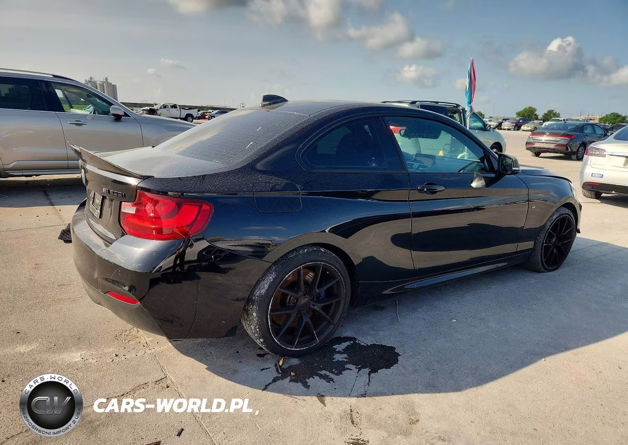 2016 BMW M235Xi VIN:WBA1J9C58GV696632 - 3