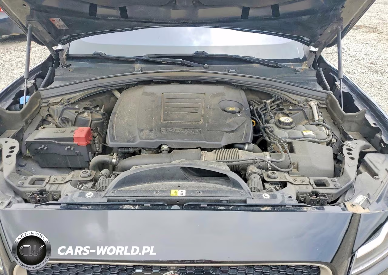 2018 Jaguar F-Pace R - Sport VIN:SADCL2FX8JA262689 - 12