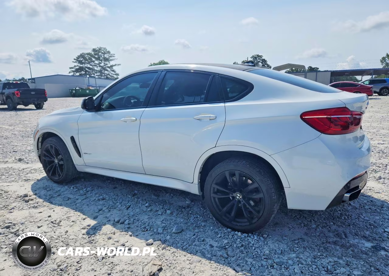 2019 BMW X6 xDrive35I VIN:5UXKU2C59K0Z64050 - 2