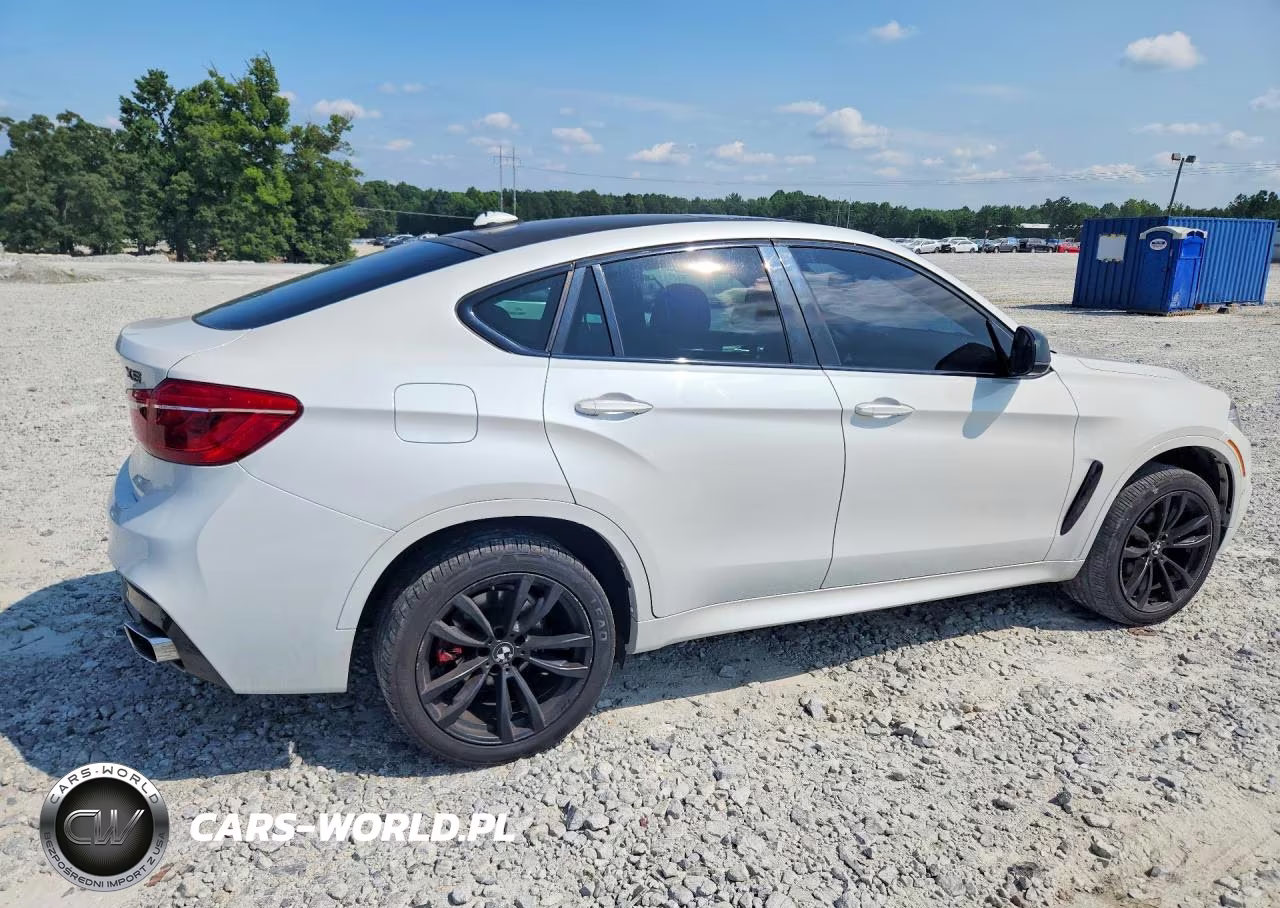 2019 BMW X6 xDrive35I VIN:5UXKU2C59K0Z64050 - 3