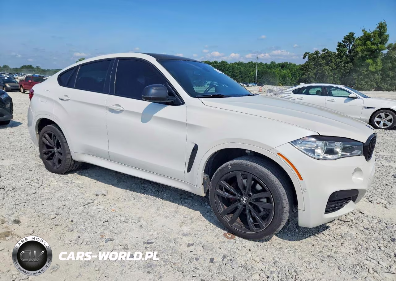 2019 BMW X6 xDrive35I VIN:5UXKU2C59K0Z64050 - 4