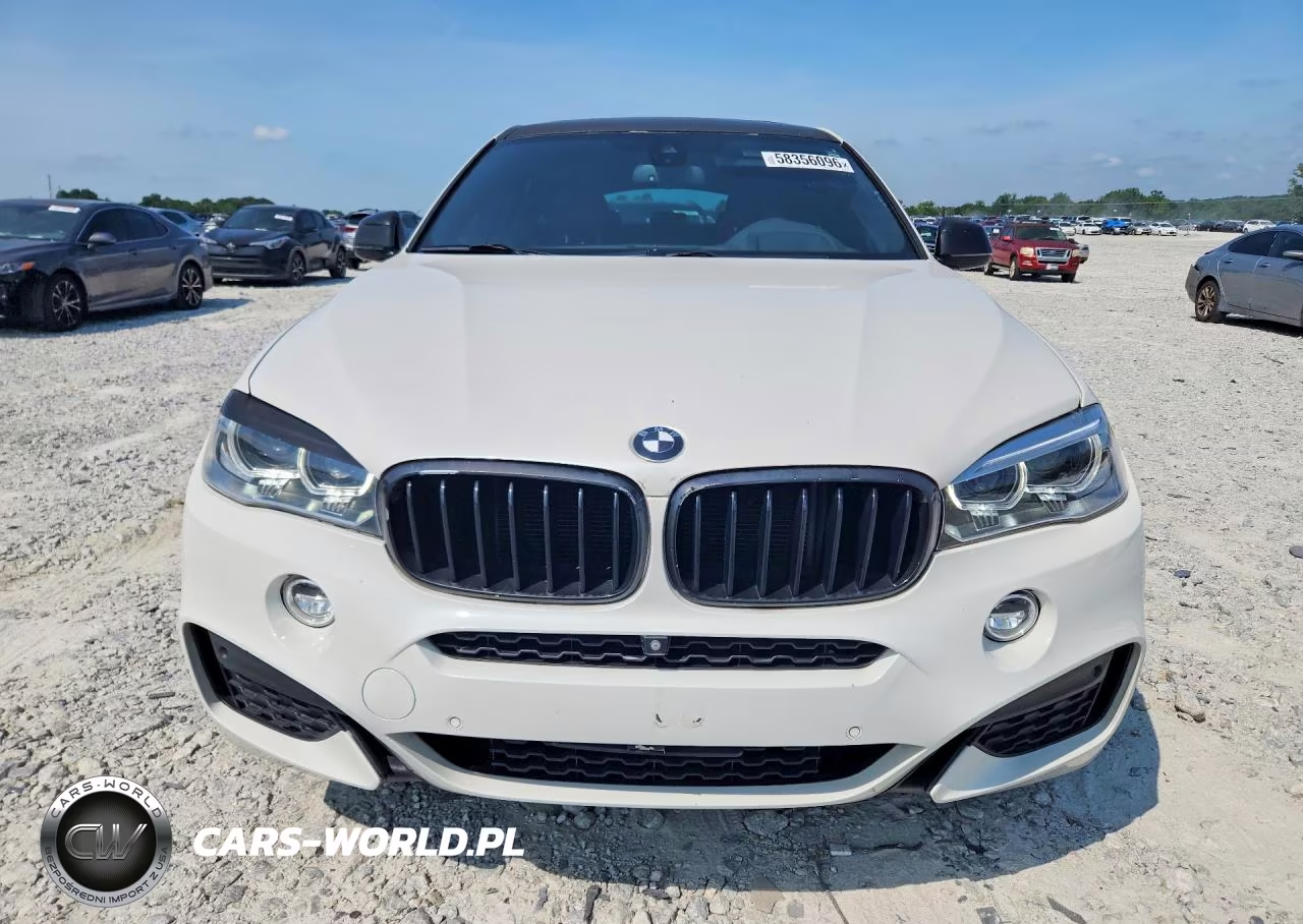 2019 BMW X6 xDrive35I VIN:5UXKU2C59K0Z64050 - 5