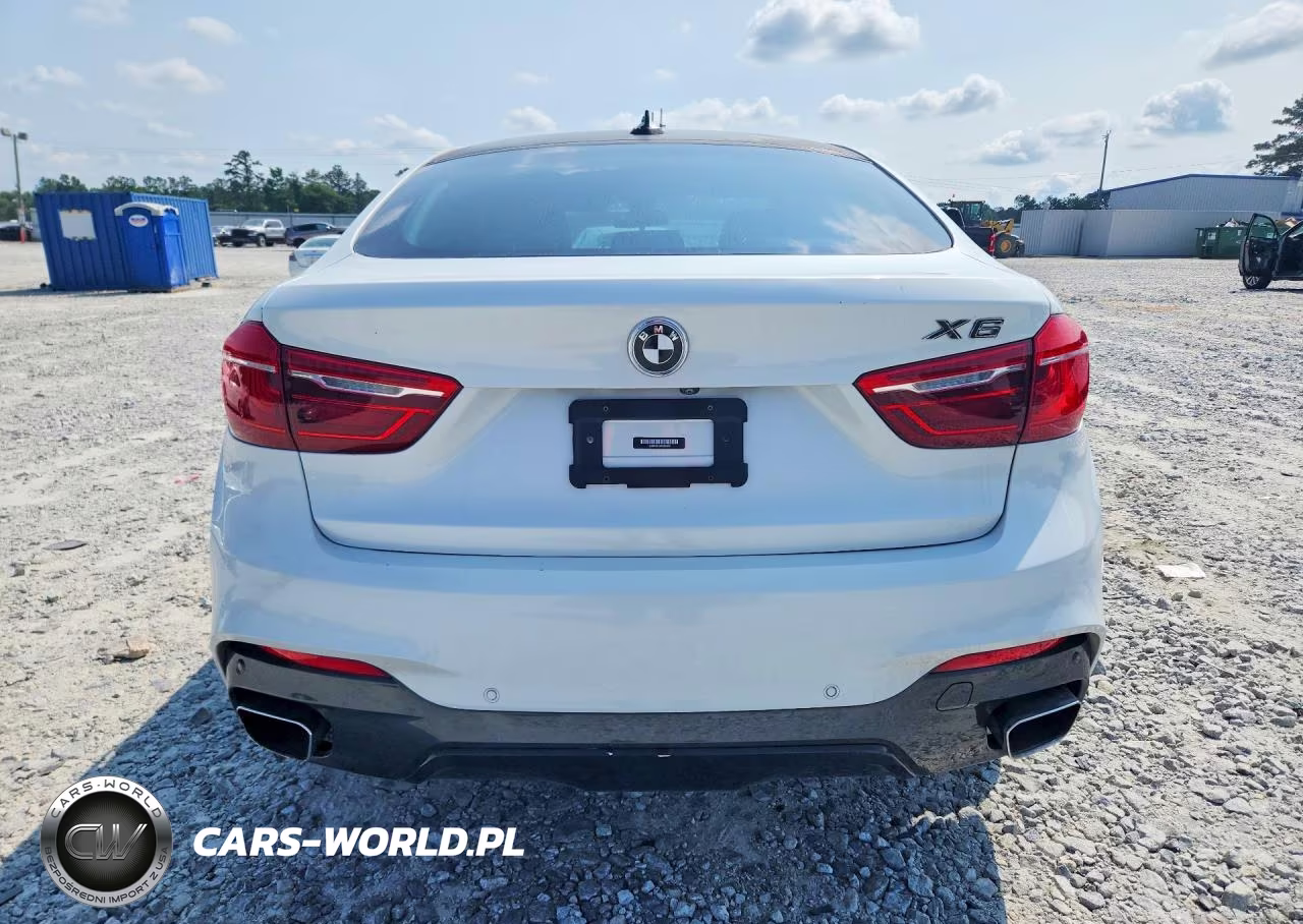2019 BMW X6 xDrive35I VIN:5UXKU2C59K0Z64050 - 6
