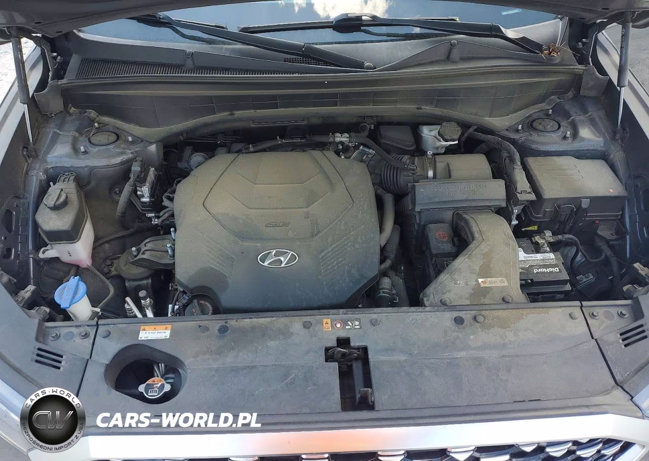 2021 Hyundai Palisade Calligraphy VIN:KM8R7DHE9MU328649 - 12