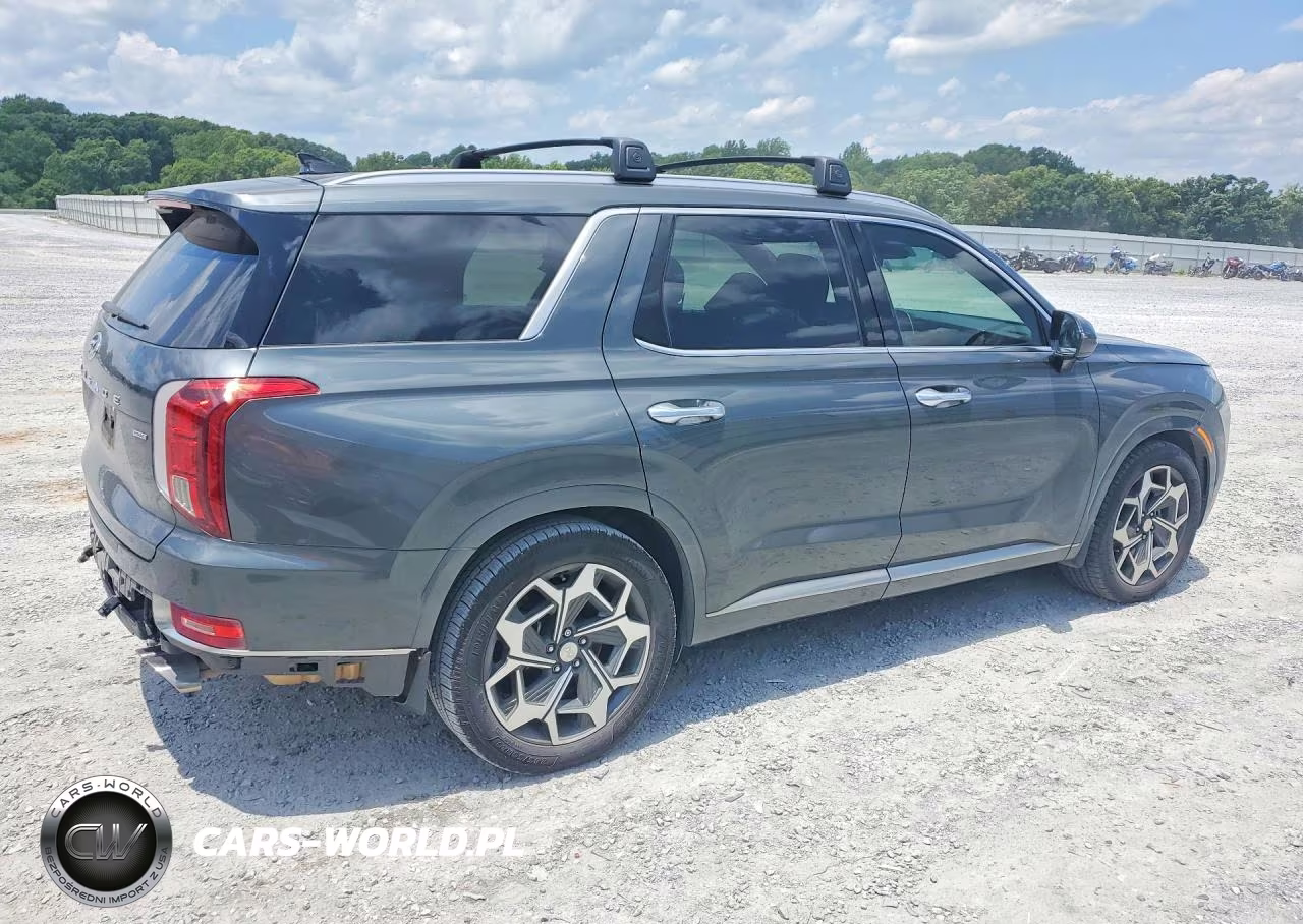 2021 Hyundai Palisade Calligraphy VIN:KM8R7DHE9MU328649 - 3