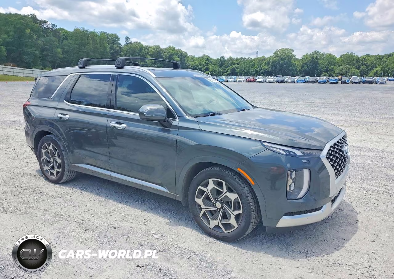 2021 Hyundai Palisade Calligraphy VIN:KM8R7DHE9MU328649 - 4