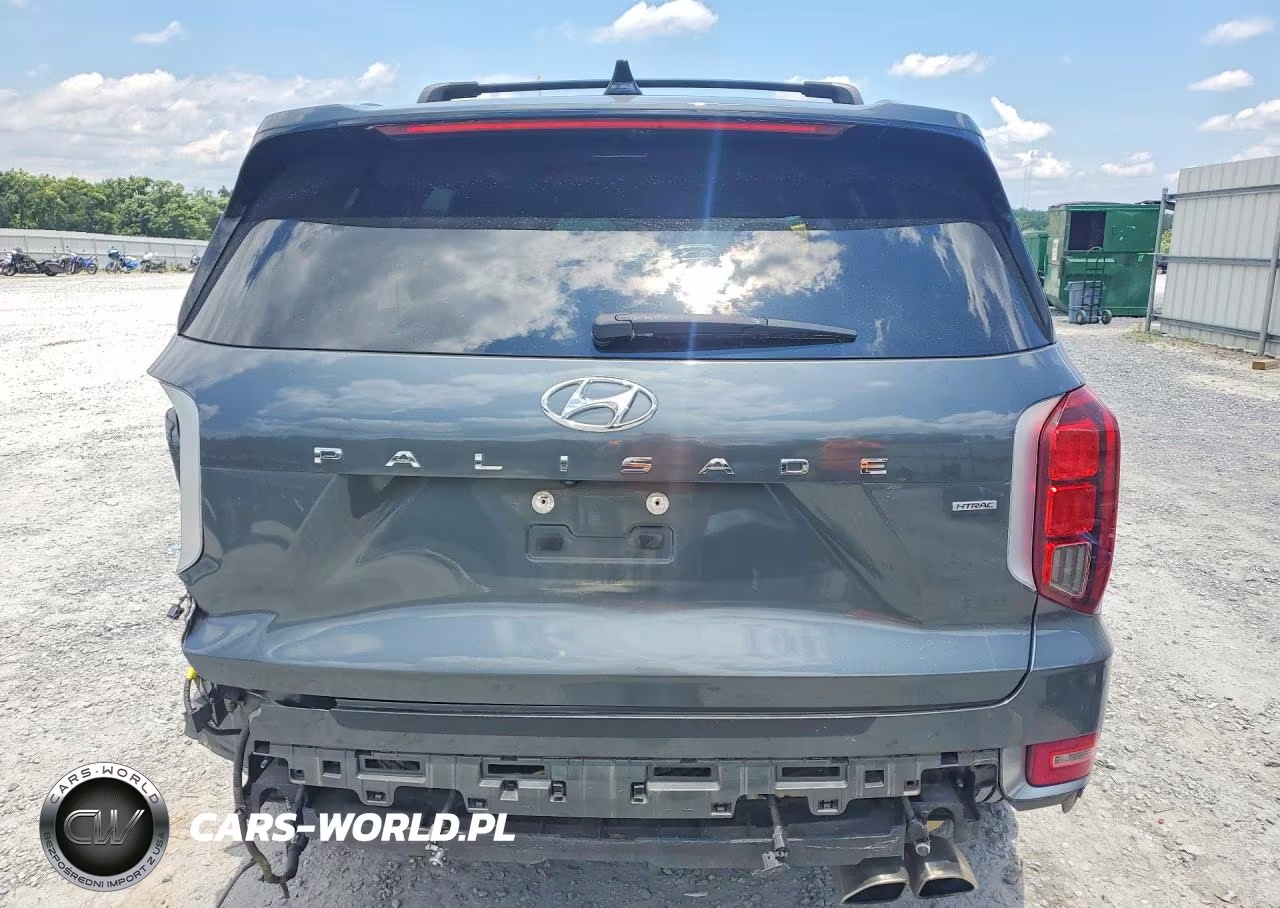 2021 Hyundai Palisade Calligraphy VIN:KM8R7DHE9MU328649 - 6