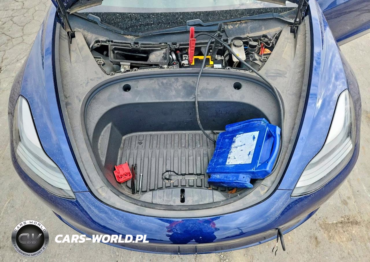 2021 Tesla Model 3 VIN:5YJ3E1EA4MF907542 - 11