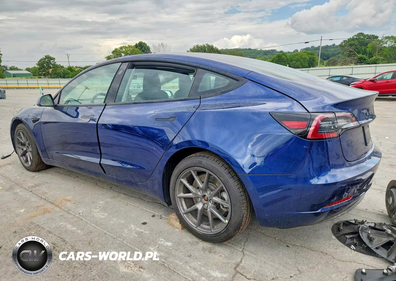 2021 Tesla Model 3 VIN:5YJ3E1EA4MF907542 - 2
