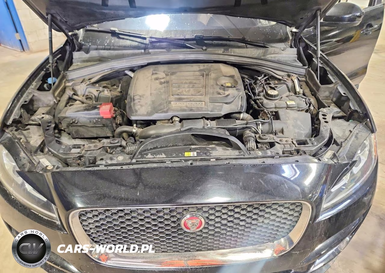 2018 Jaguar F-Pace Premium VIN:SADCJ2GX6JA282573 - 12